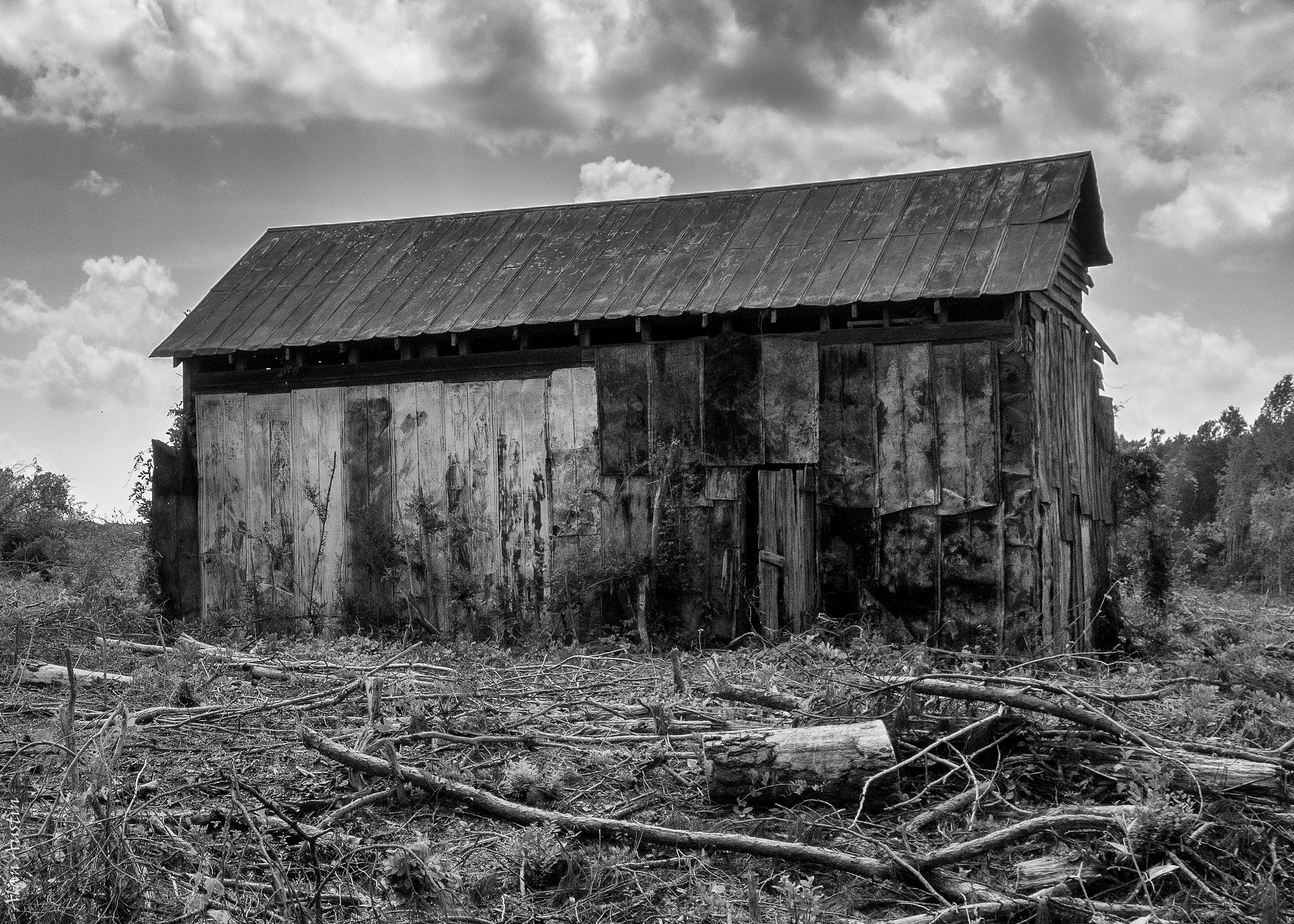 Hasselblad Stellar sample photo. Battered barn photography