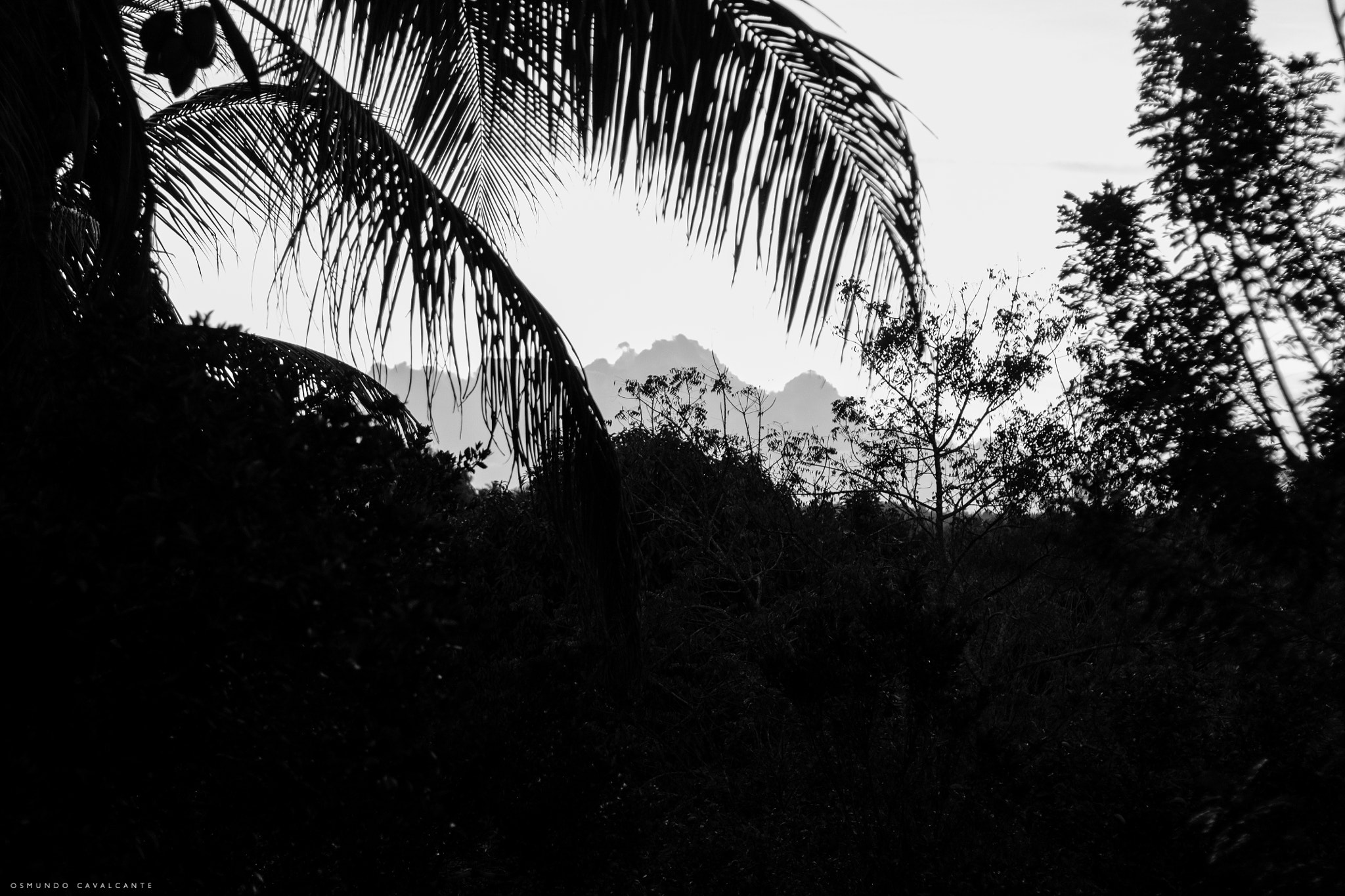 Canon EOS 1100D (EOS Rebel T3 / EOS Kiss X50) sample photo. Imaginary mountains photography