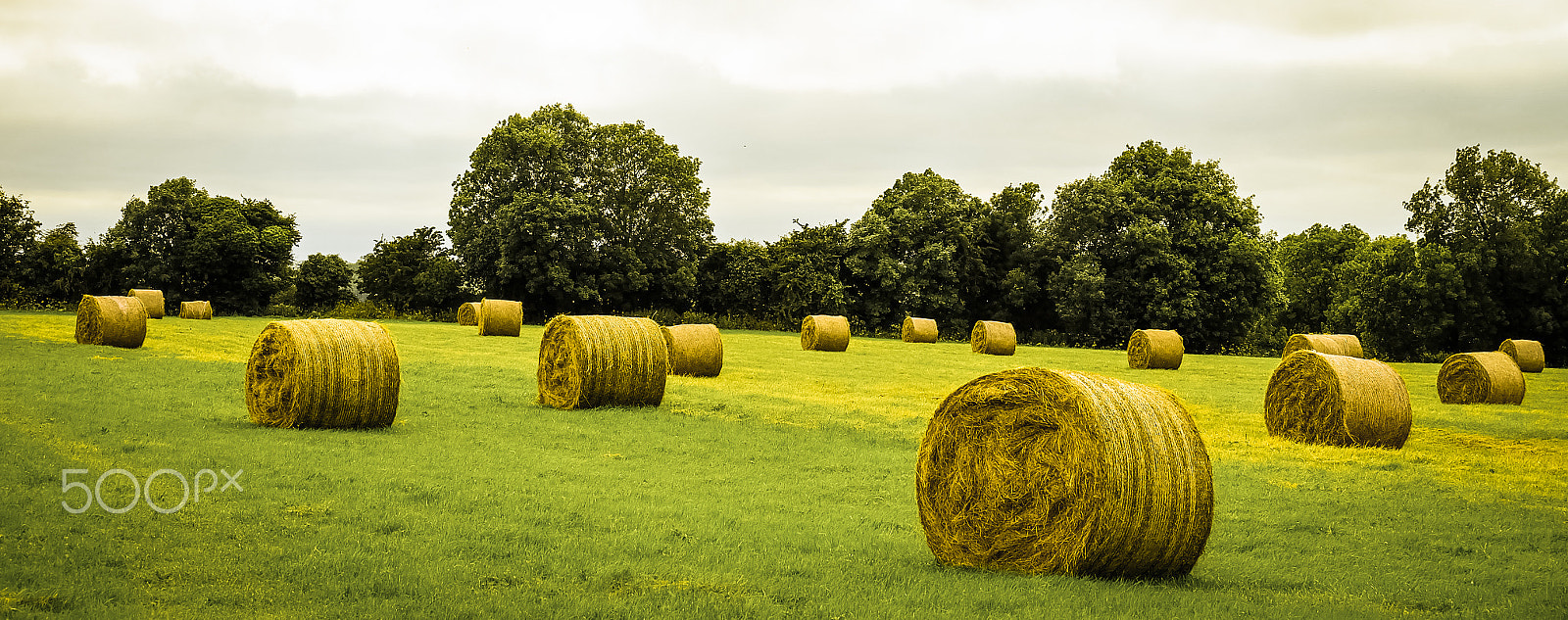 Fujifilm X-A2 + Fujifilm XC 50-230mm F4.5-6.7 OIS sample photo. Straw roll photography