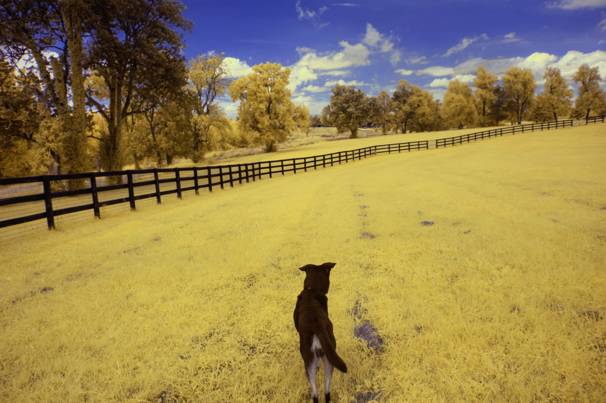 Nikon D70s sample photo. Wouldn't it be amazing if this is what the world looks like through their eyes? photography