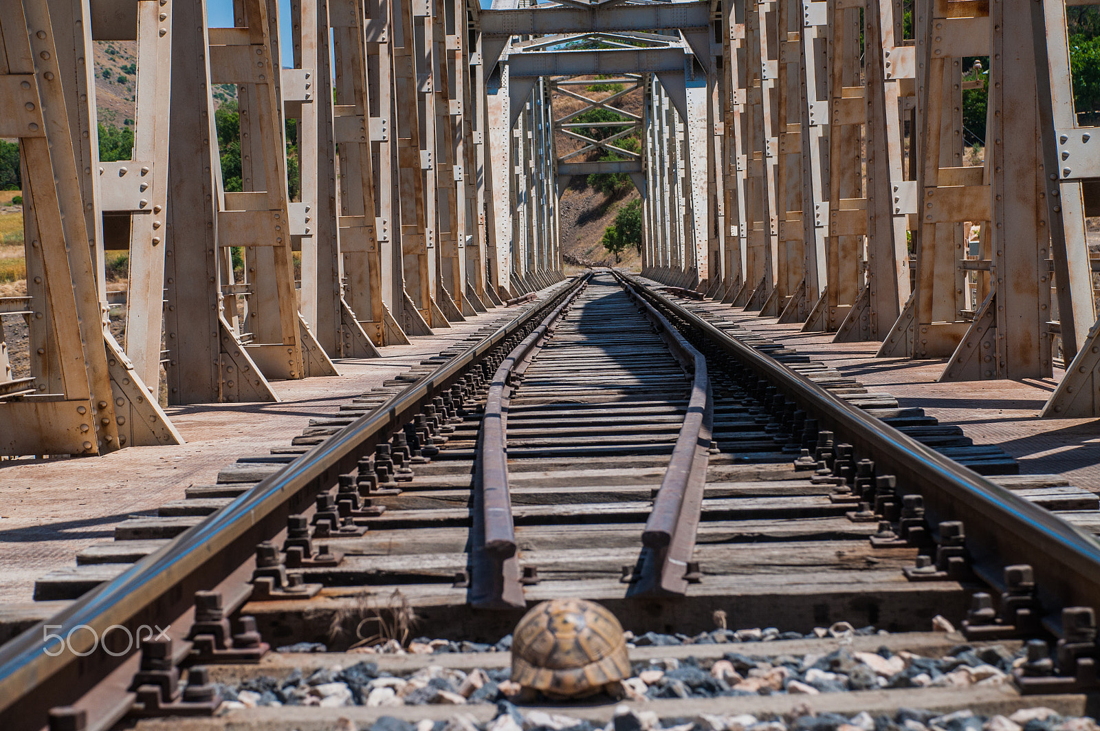 Nikon D5000 sample photo. Symmetry and train rail photography
