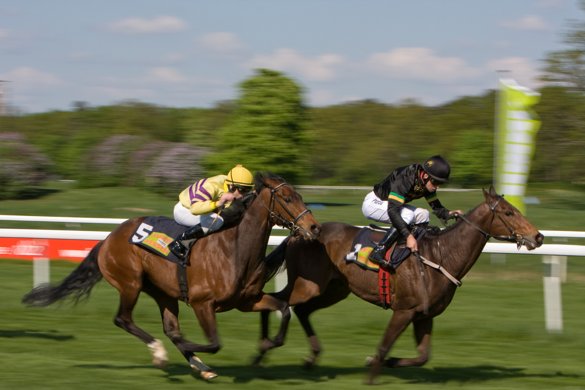 Canon EF 70-200mm F2.8L IS USM sample photo. The race photography