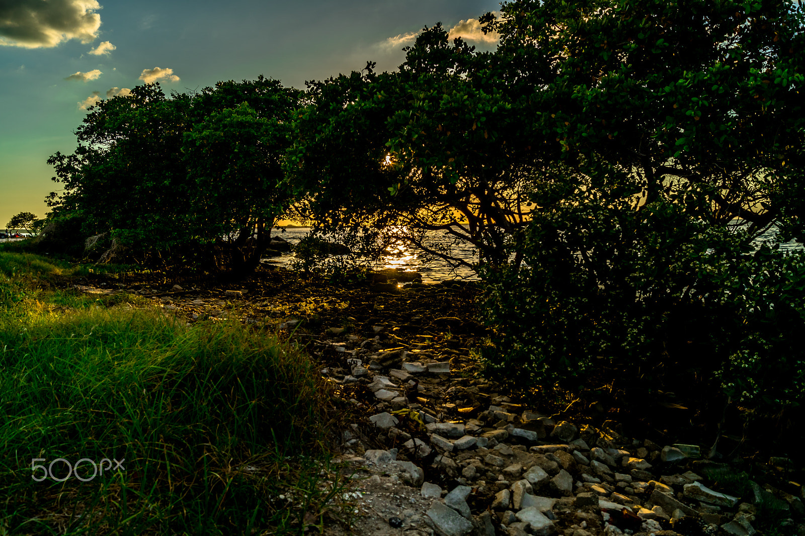 Sony DT 18-55mm F3.5-5.6 SAM II sample photo. The way to the sun photography