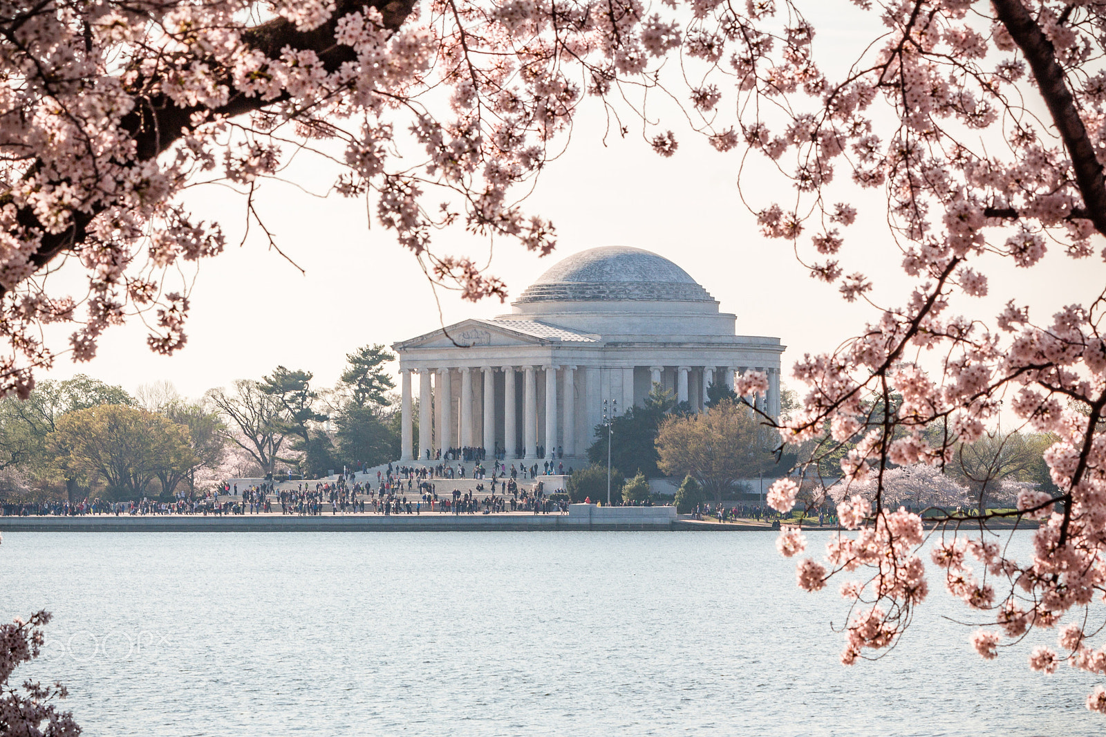 Canon EF-S 55-250mm F4-5.6 IS sample photo. Jefferson monument cherry blossoms photography