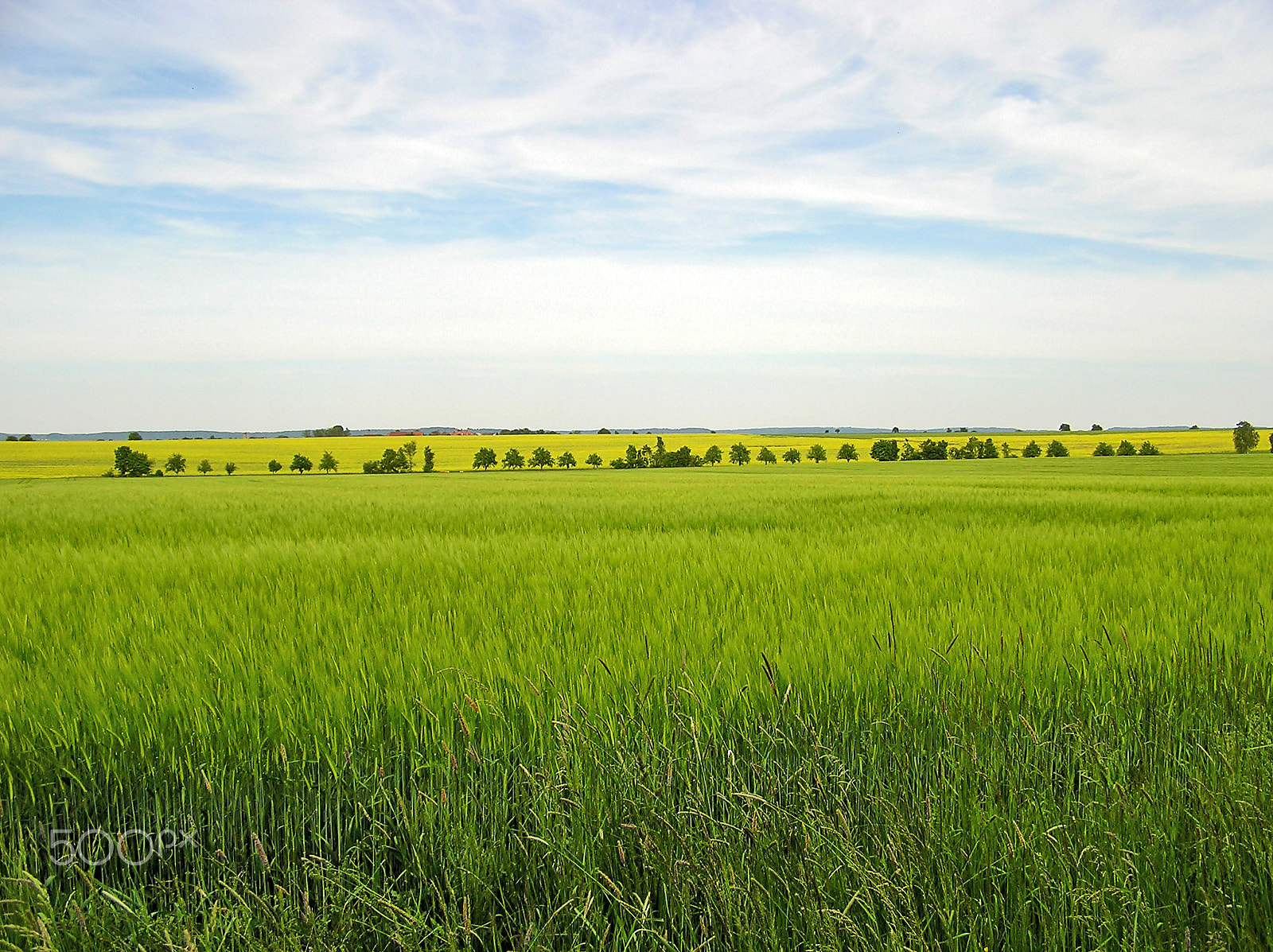Olympus C750UZ sample photo. Fields (near rothenburg, germany) photography