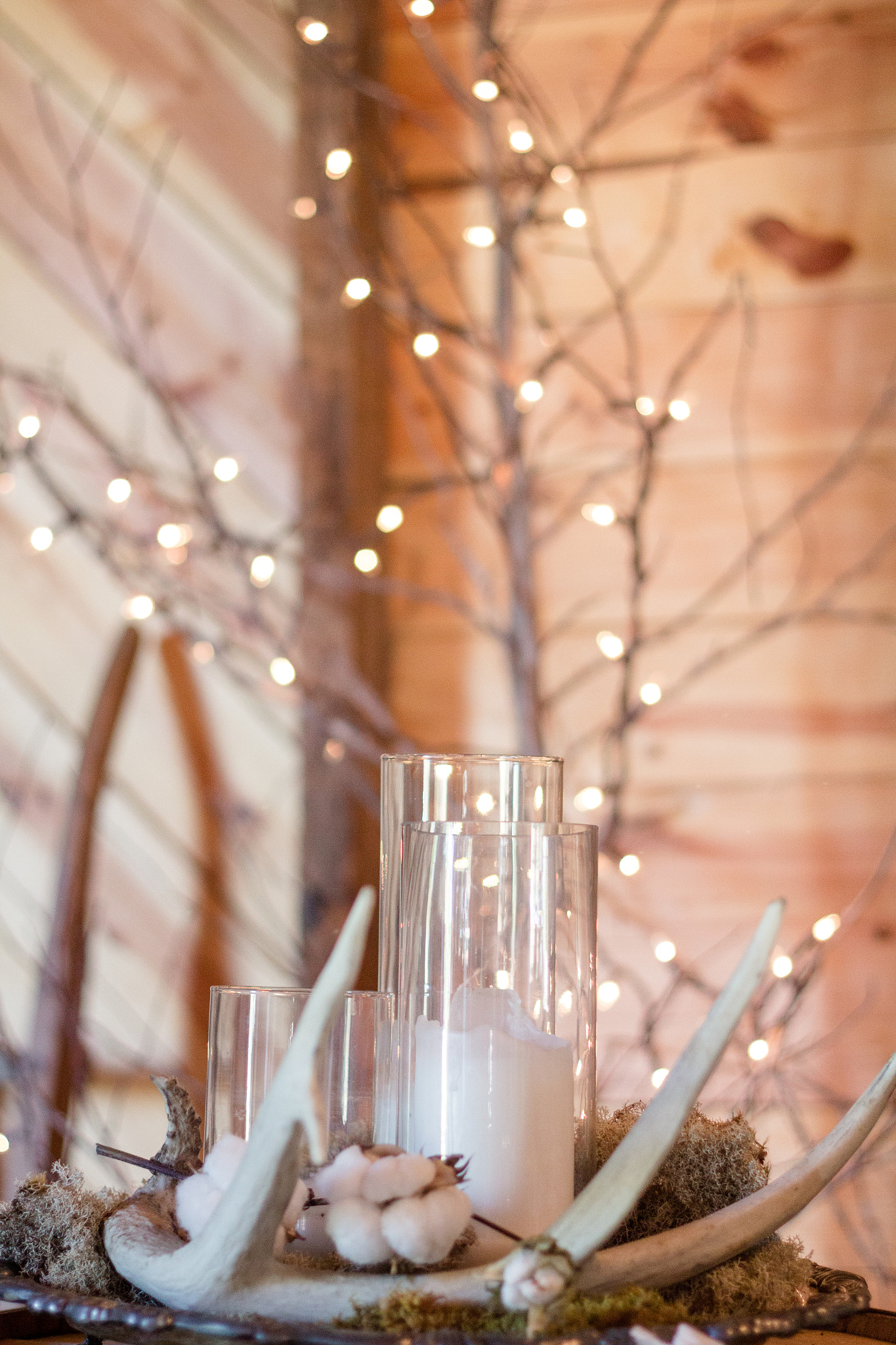 Canon EOS 60D + Canon EF 50mm F1.8 II sample photo. Ak038 photography