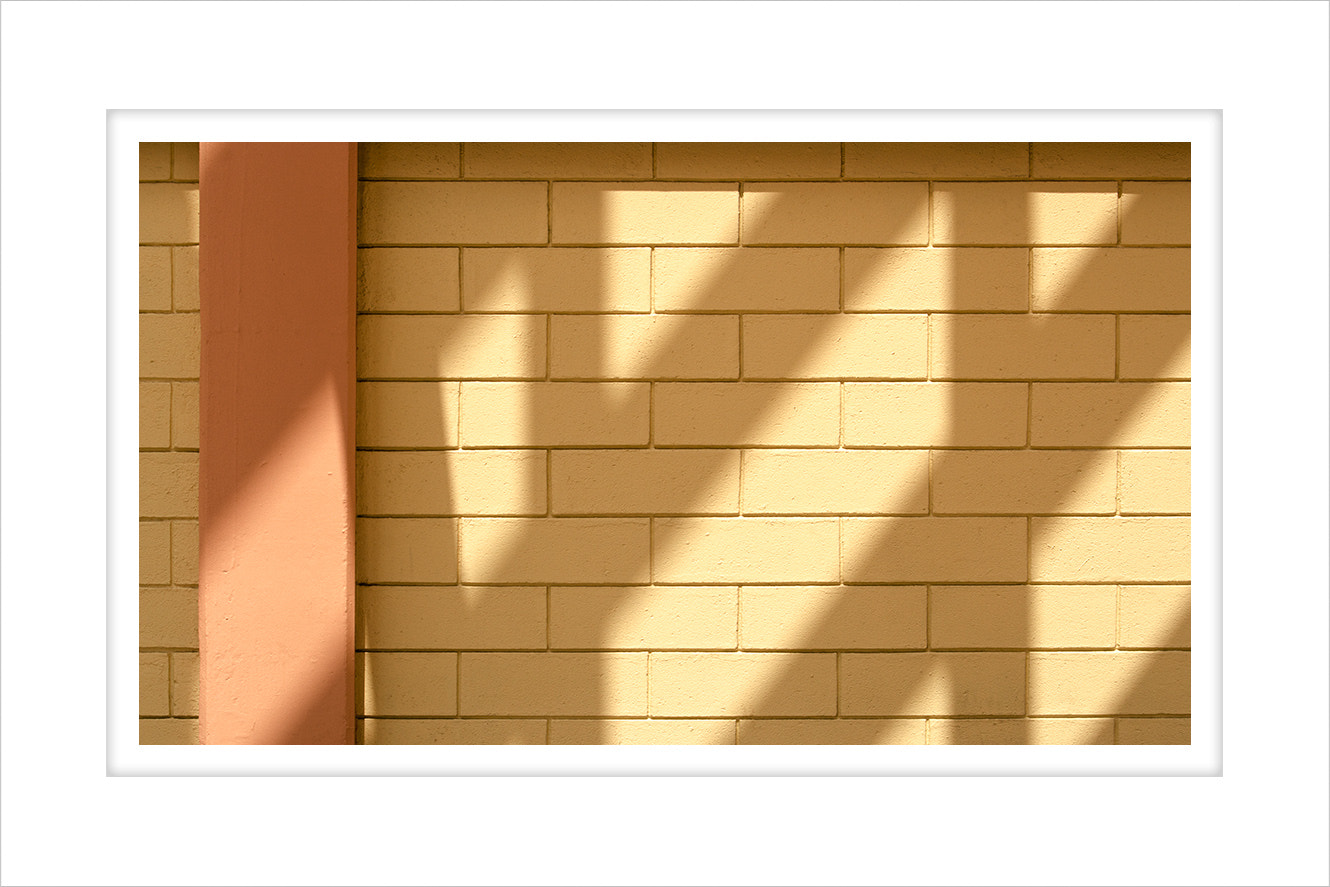 AF Zoom-Nikkor 28-80mm f/3.3-5.6G sample photo. Mc photography