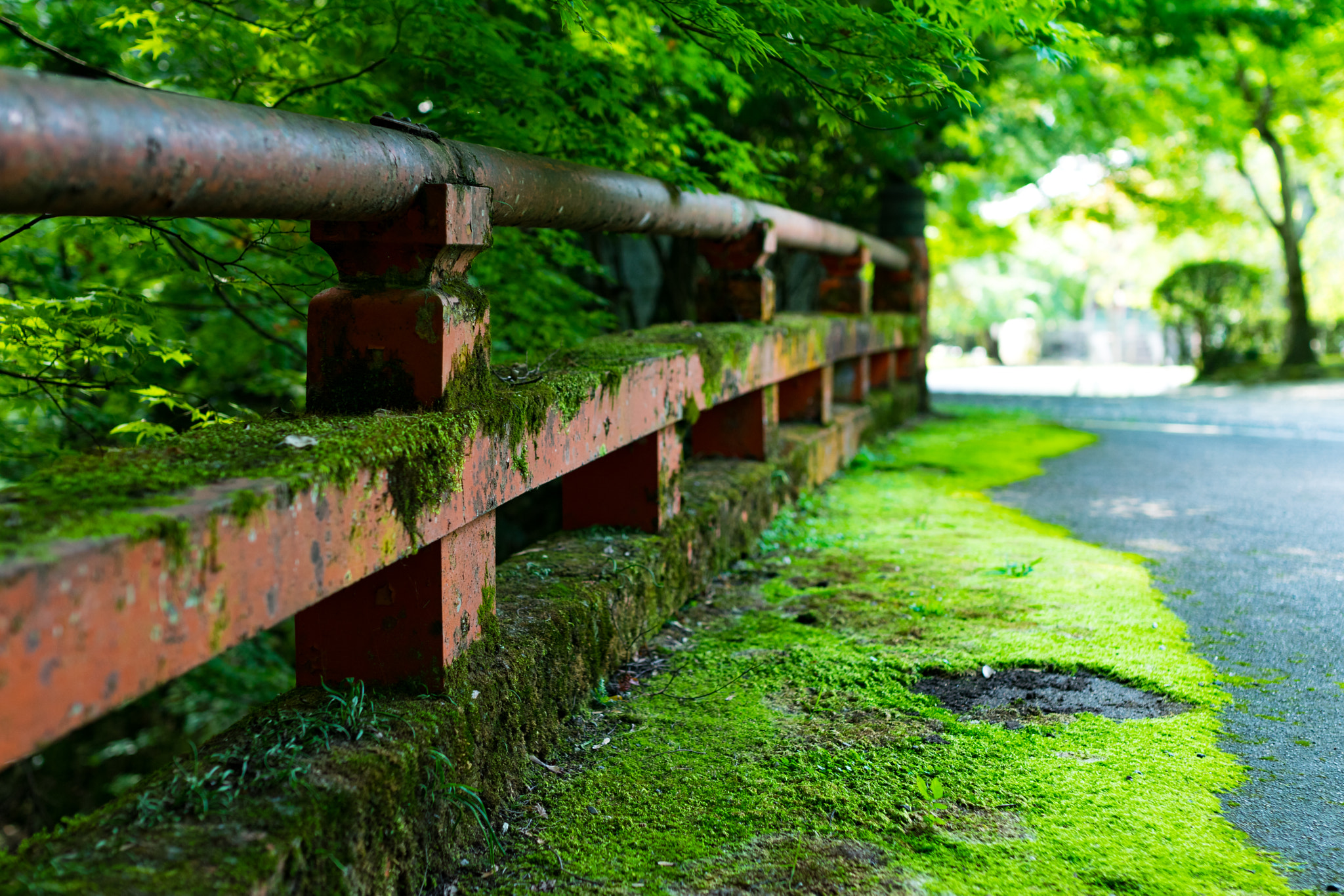 Nikon D5300 + Sigma 35mm F1.4 DG HSM Art sample photo. By the roadside photography