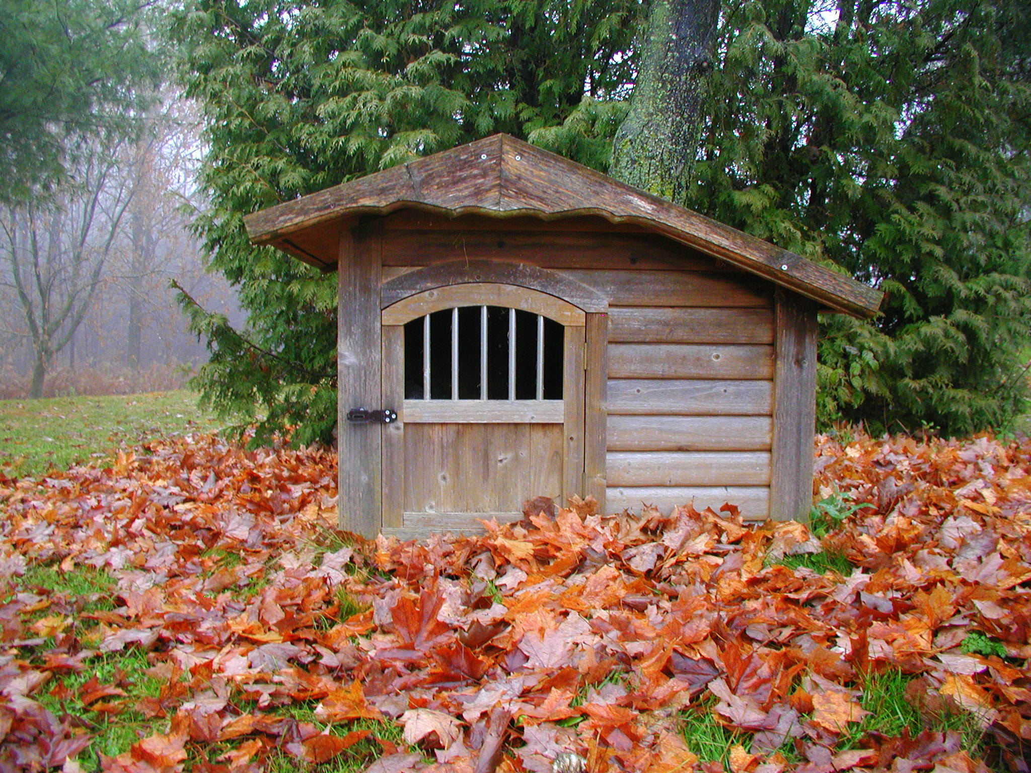 Olympus C3000Z sample photo. Dog house in the fall leaves photography