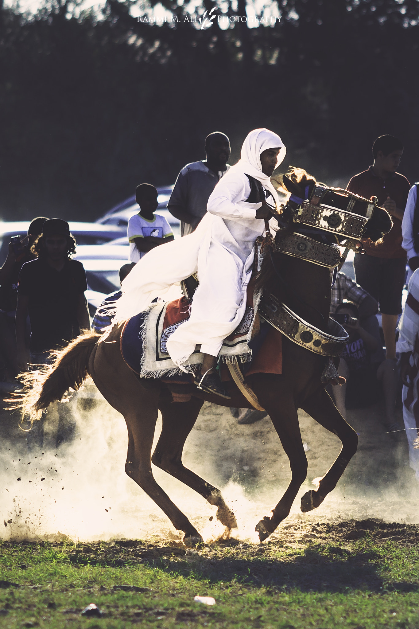 Canon EF 200mm F2.8L II USM sample photo. Horseman of libya photography
