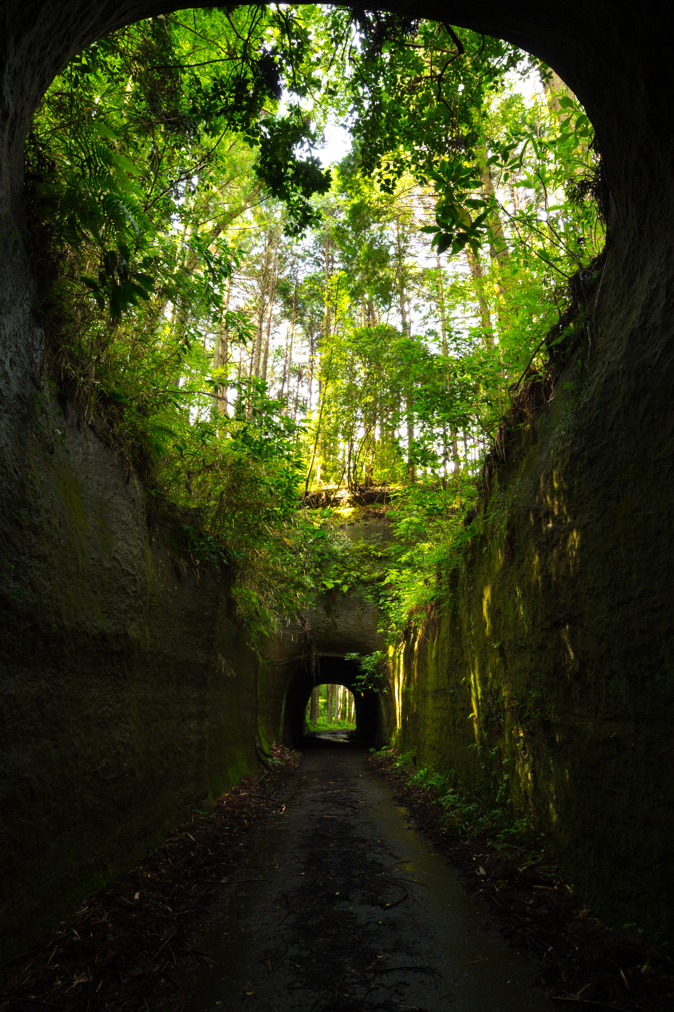 Nikon AF-S Nikkor 14-24mm F2.8G ED sample photo. Tunnels photography