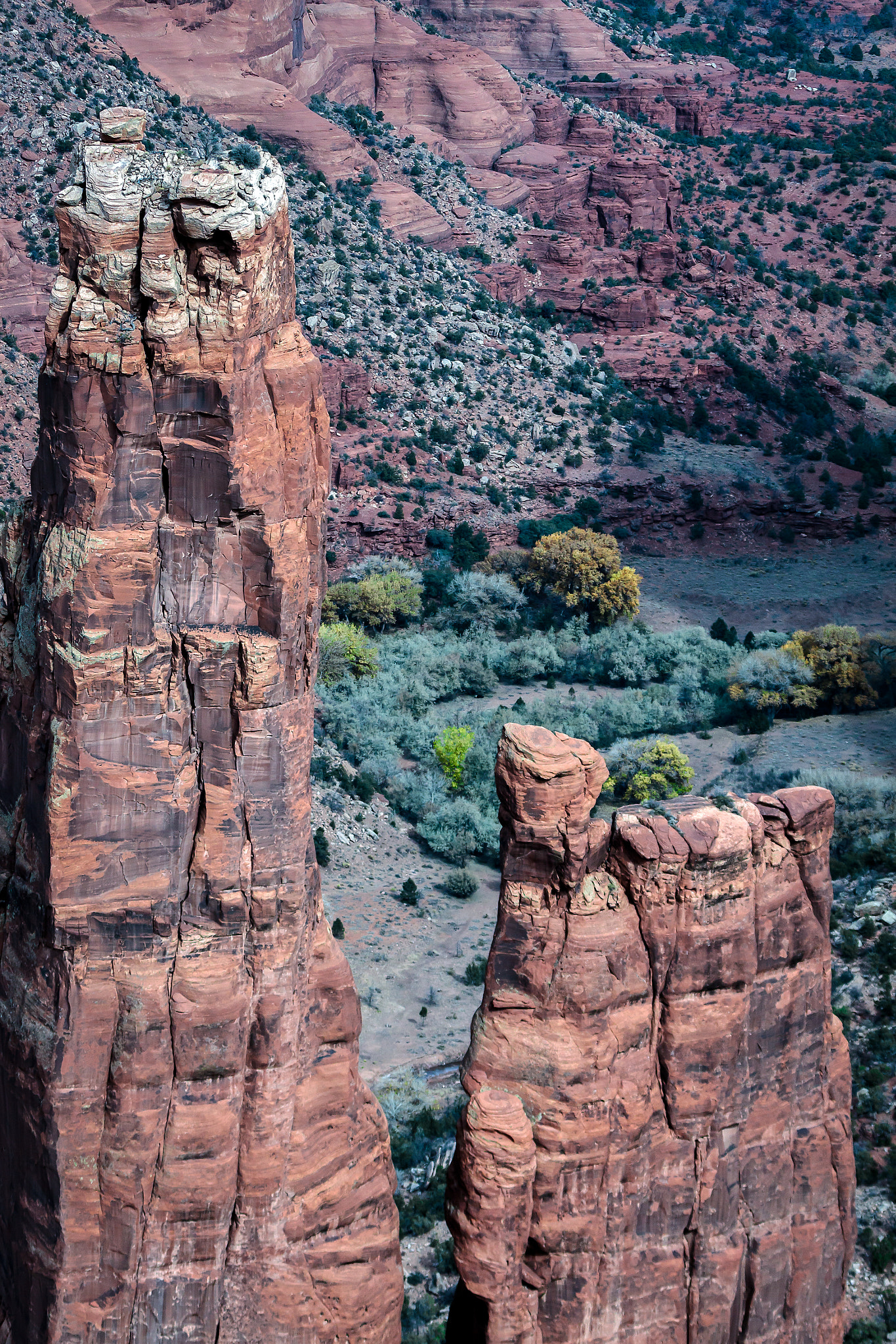 Canon EOS 50D + Canon EF 100-400mm F4.5-5.6L IS USM sample photo. Spider rock in  canyon de chelly photography