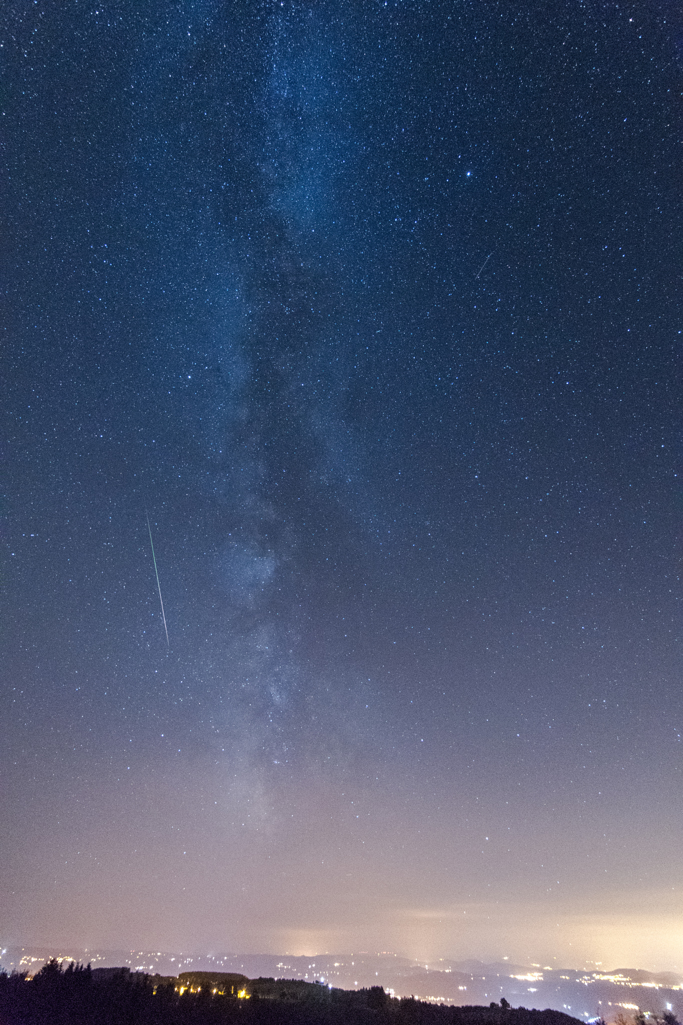 Nikon D500 sample photo. Milky way and shooting star photography