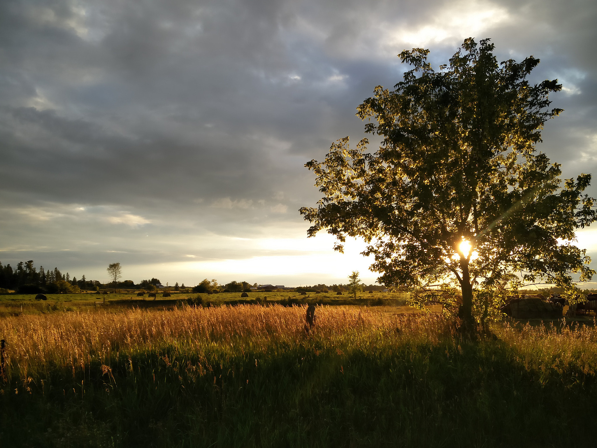 OnePlus ONE A2005 sample photo. Beautiful farm sunset photography