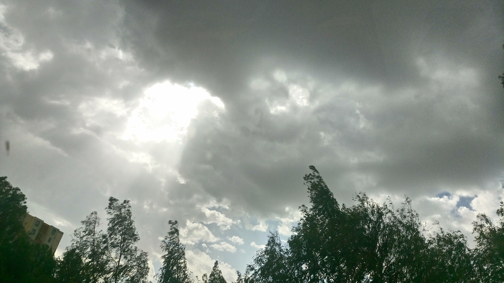 Sony Xperia M5 Dual sample photo