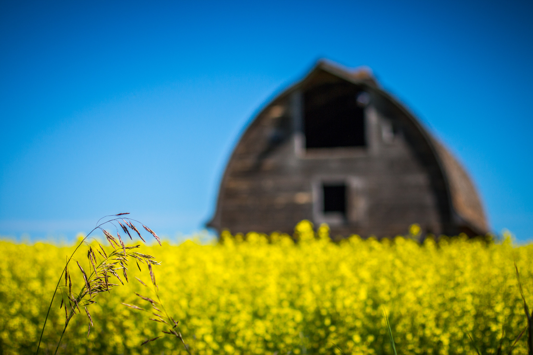 Canon EOS 650D (EOS Rebel T4i / EOS Kiss X6i) sample photo. Blurred barn photography