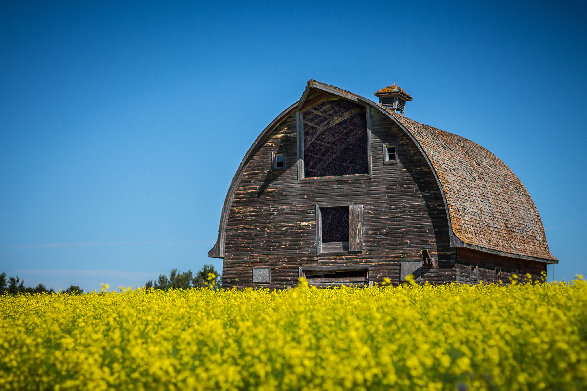 Canon EOS 650D (EOS Rebel T4i / EOS Kiss X6i) sample photo. Barn with a face photography