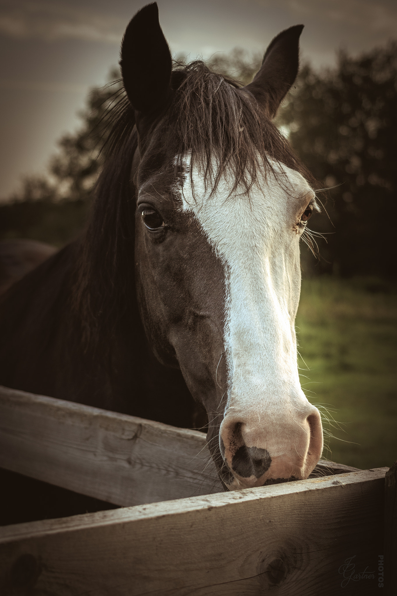 Canon EF 40mm F2.8 STM sample photo. Off centre photography