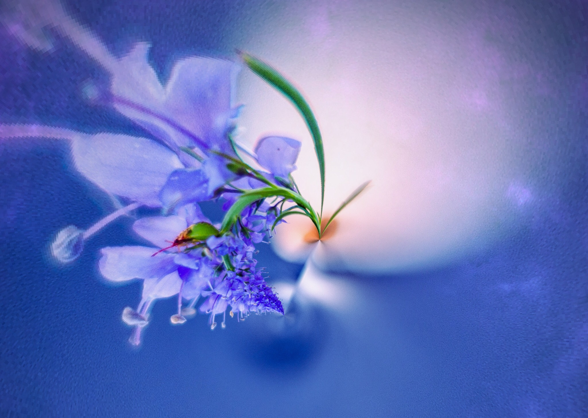 Nikon AF-S Nikkor 24-70mm F2.8E ED VR sample photo. 蓝色调 photography