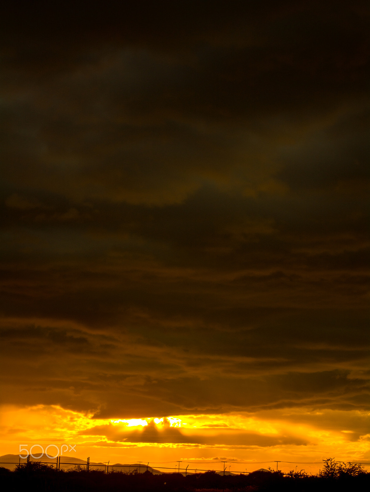 Nikon D7100 + AF Nikkor 50mm f/1.8 sample photo. Look at this! photography