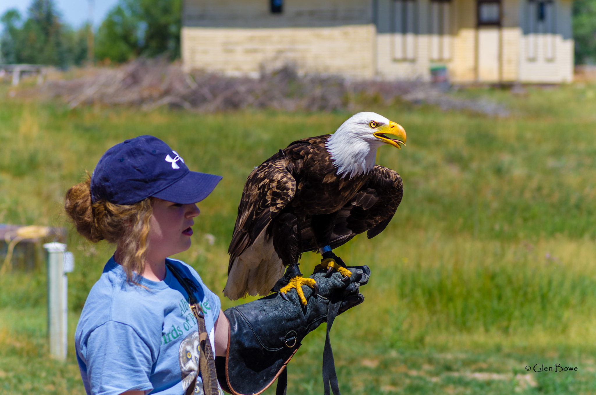 Pentax smc D-FA 100mm F2.8 Macro WR sample photo. Bald eagle and handler photography