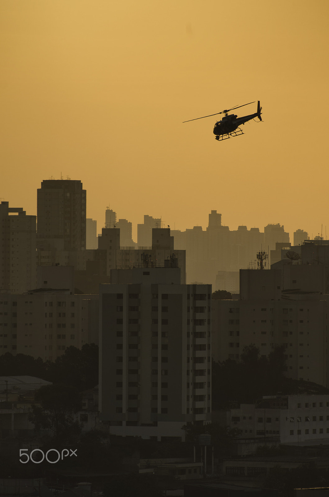 Pentax smc DA* 60-250mm F4.0 ED (IF) SDM sample photo. São paulo photography
