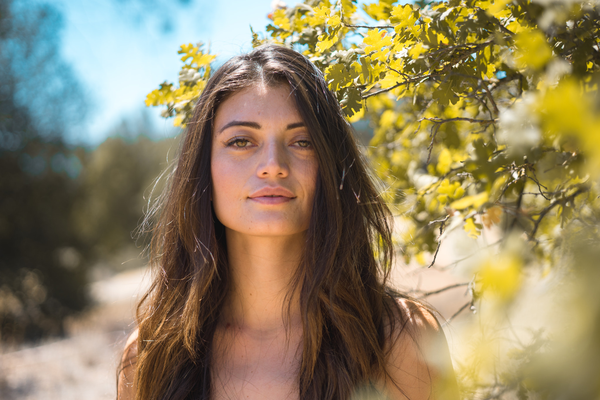 E 50mm F2 sample photo. Wild laura photography