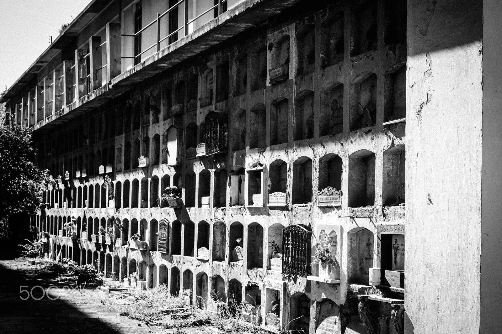 Canon EOS 760D (EOS Rebel T6s / EOS 8000D) sample photo. Cementerio católico de santiago photography