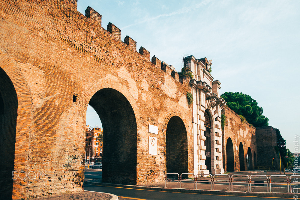 Canon EOS 5D + Canon EF 24mm F1.4L II USM sample photo. Via appia, rome photography