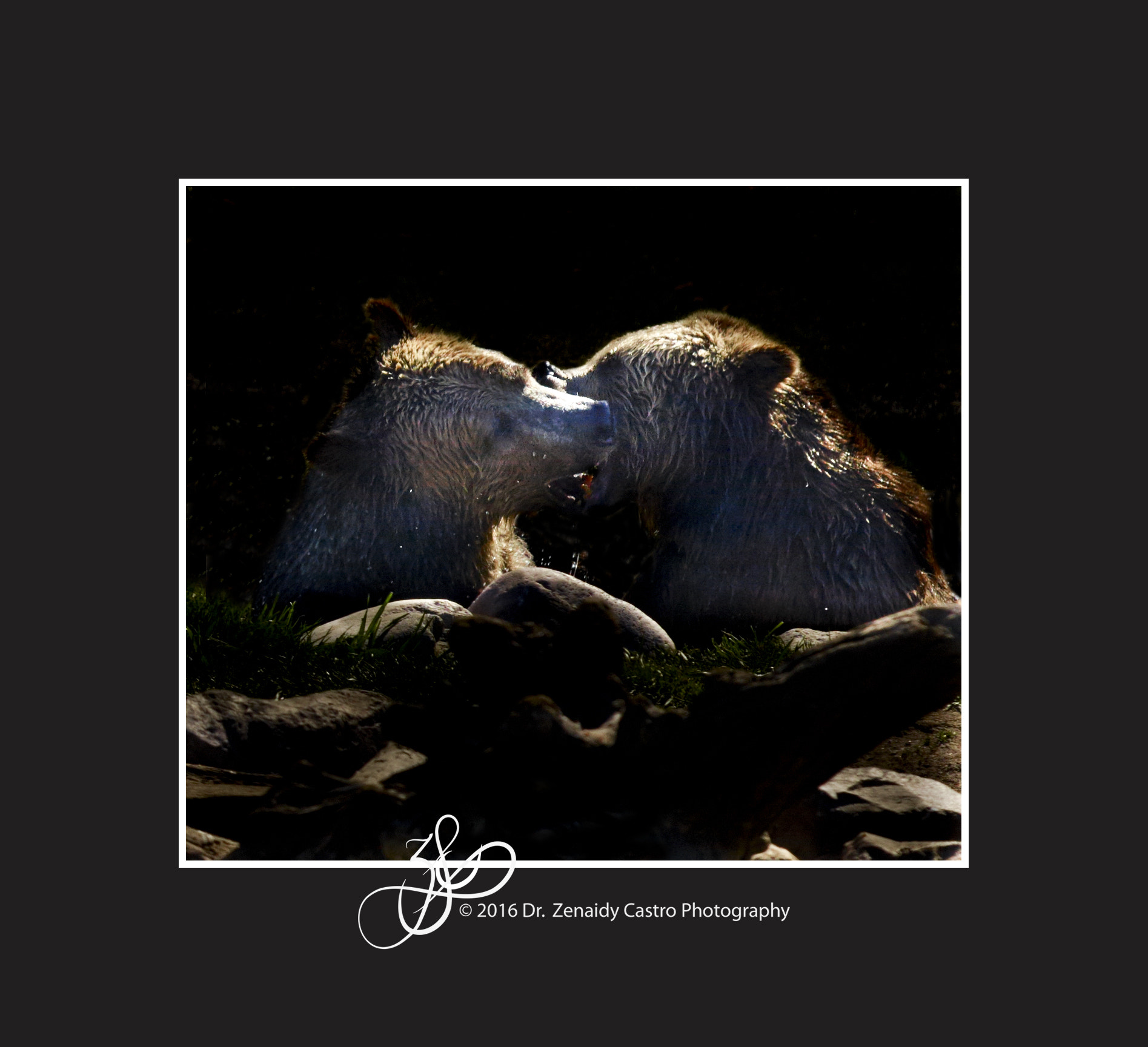 Phase One IQ150 sample photo. The kiss in the dark photography