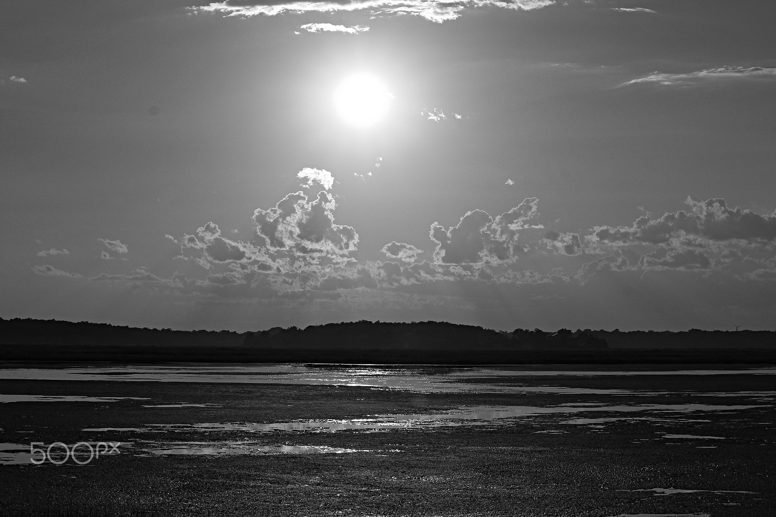 Canon EOS 600D (Rebel EOS T3i / EOS Kiss X5) + 55.0 - 250.0 mm sample photo. Sunny salt marsh land photography