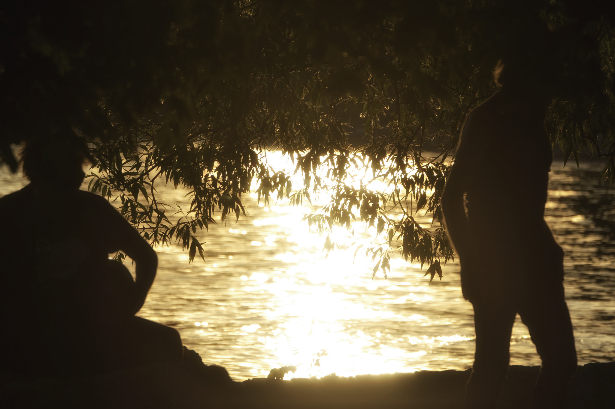 Nikon D3100 + Sigma 50-500mm F4.5-6.3 DG OS HSM sample photo. Sunset by the beach! photography