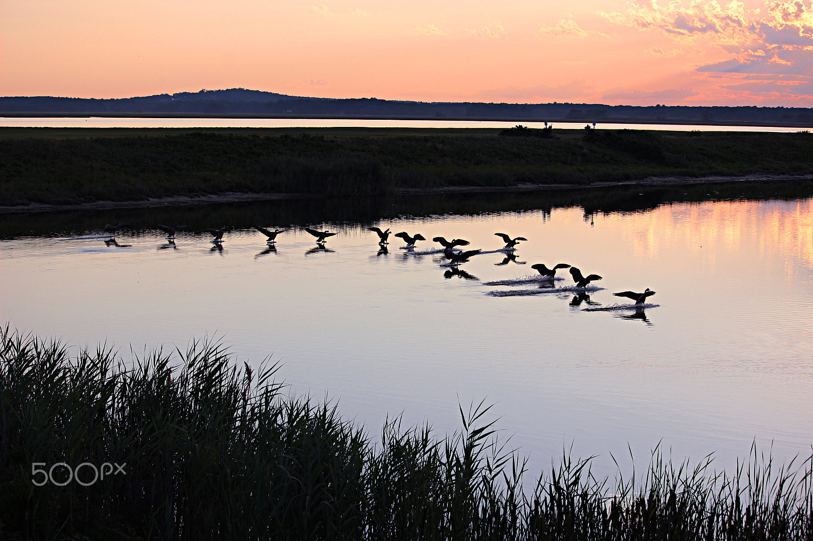 55.0 - 250.0 mm sample photo. Synchronous landing photography