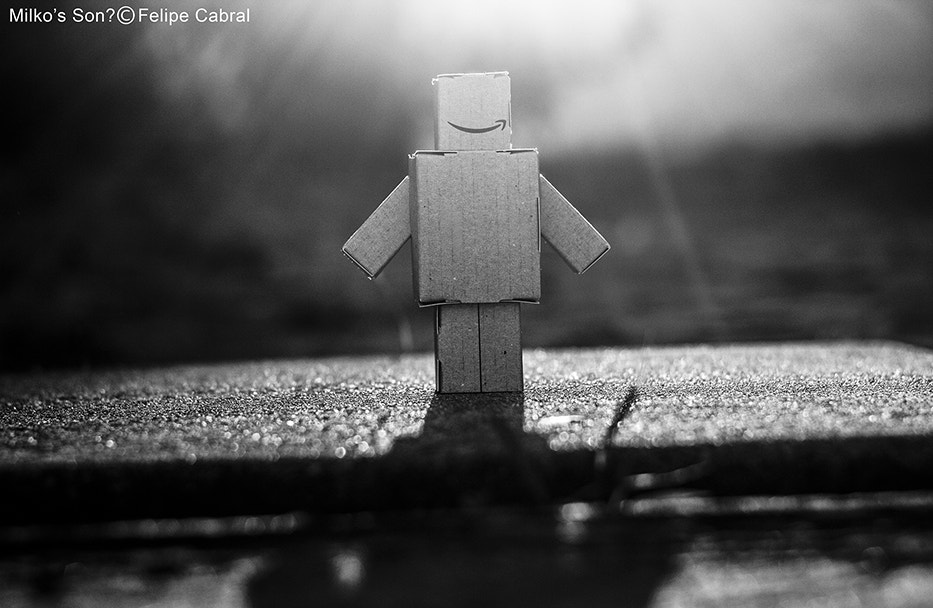 Canon EF 50mm F1.8 II sample photo. Milko's son? photography