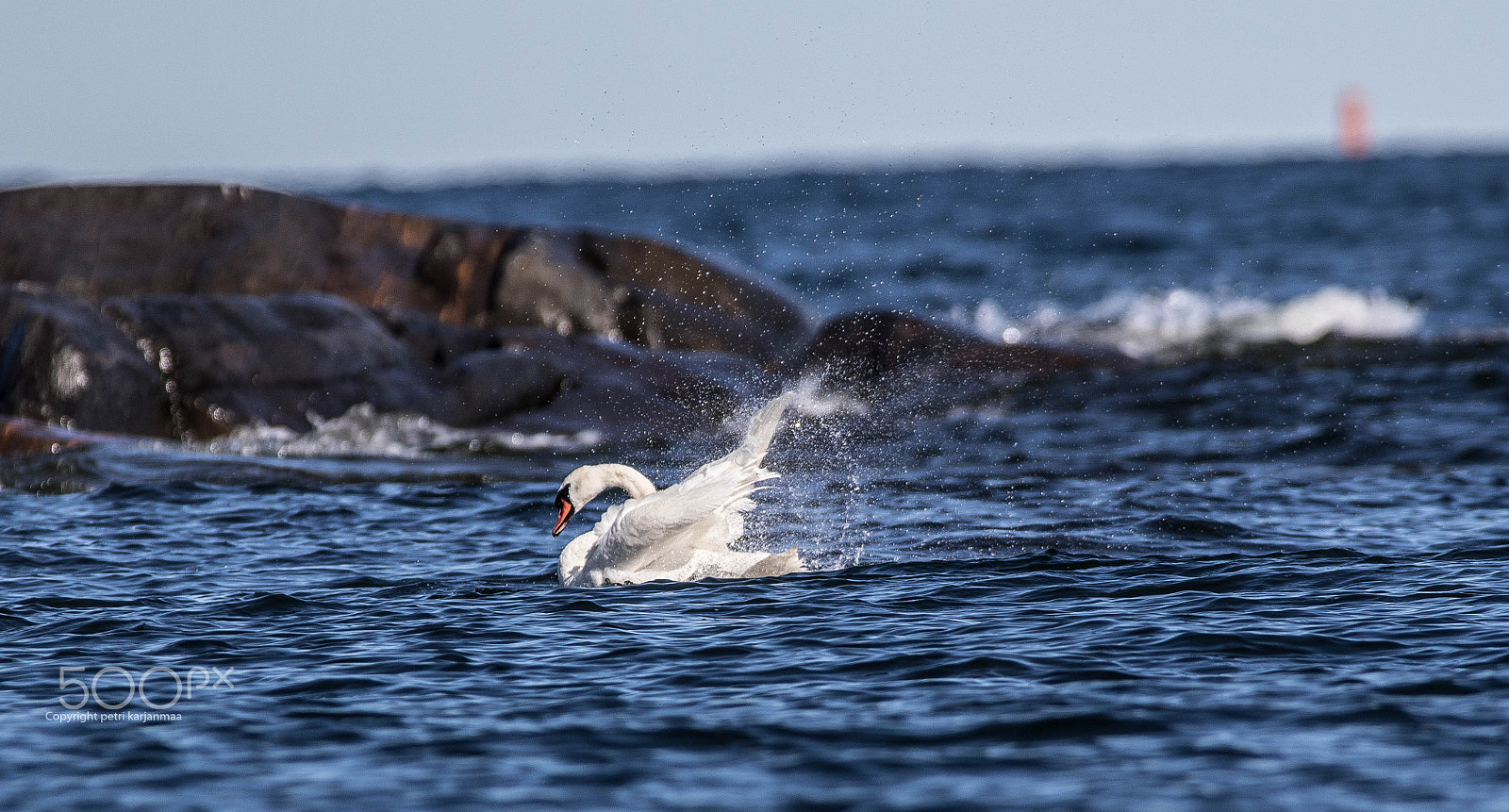 Canon EF 300mm f/2.8L + 1.4x sample photo. Breakers photography