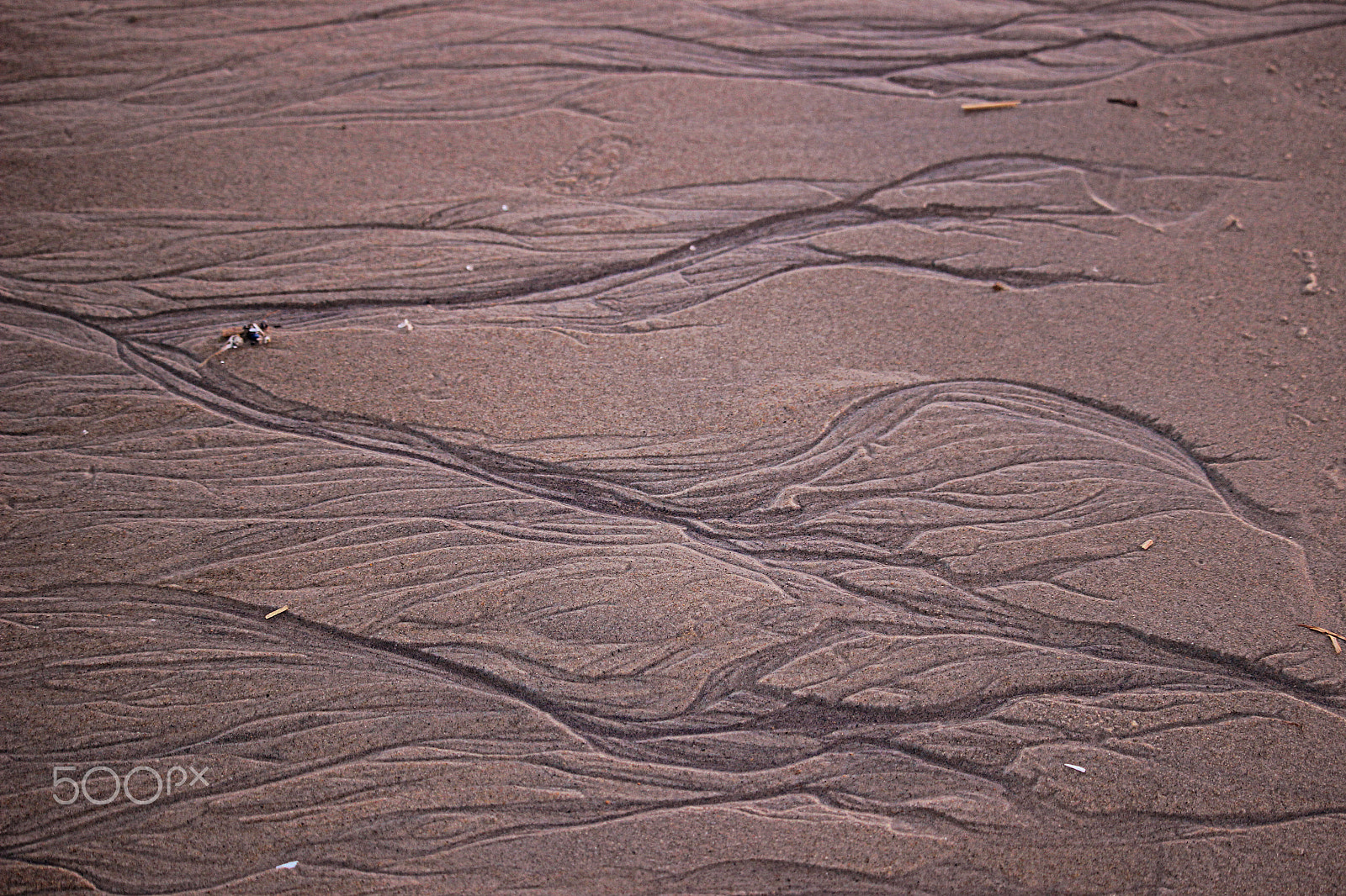 Canon EOS 600D (Rebel EOS T3i / EOS Kiss X5) + 55.0 - 250.0 mm sample photo. Nature's sand art photography