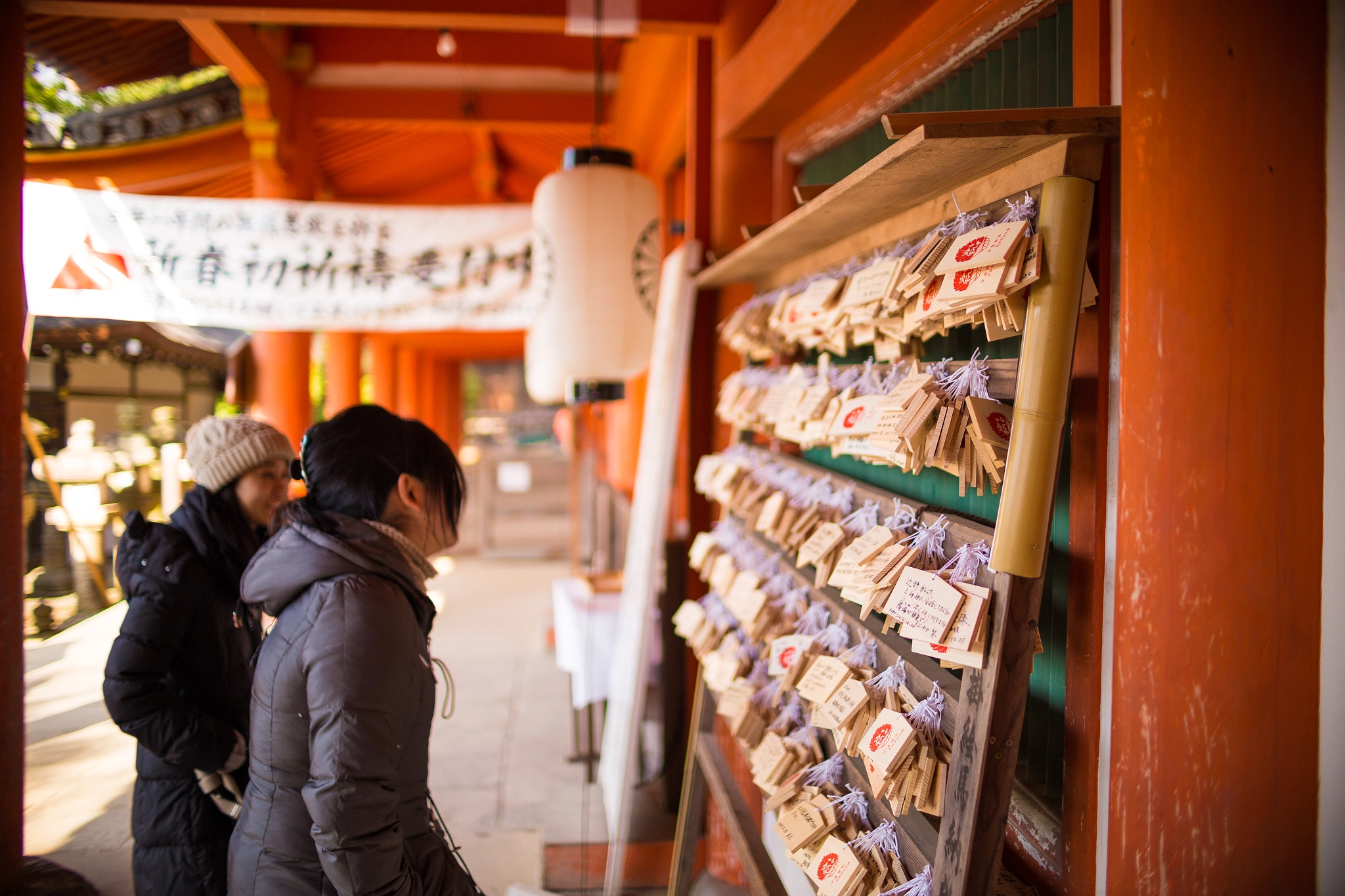 Sigma 30mm F1.4 EX DC HSM sample photo. Nara photography