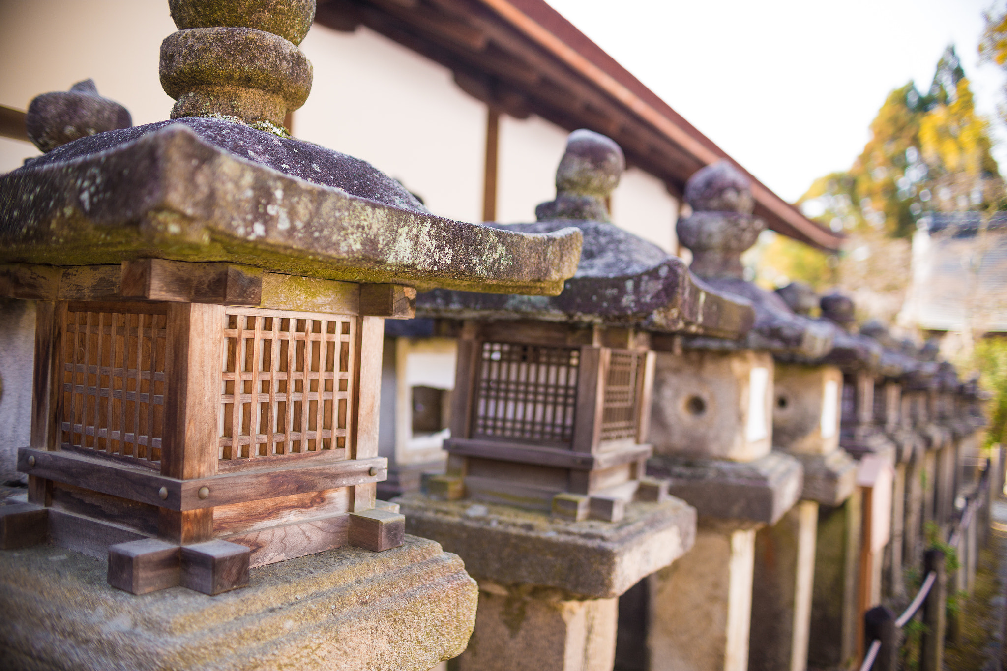 Sigma 30mm F1.4 EX DC HSM sample photo. Nara photography