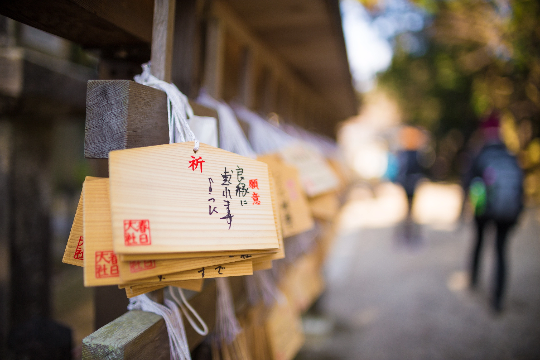 Sigma 30mm F1.4 EX DC HSM sample photo. Nara photography