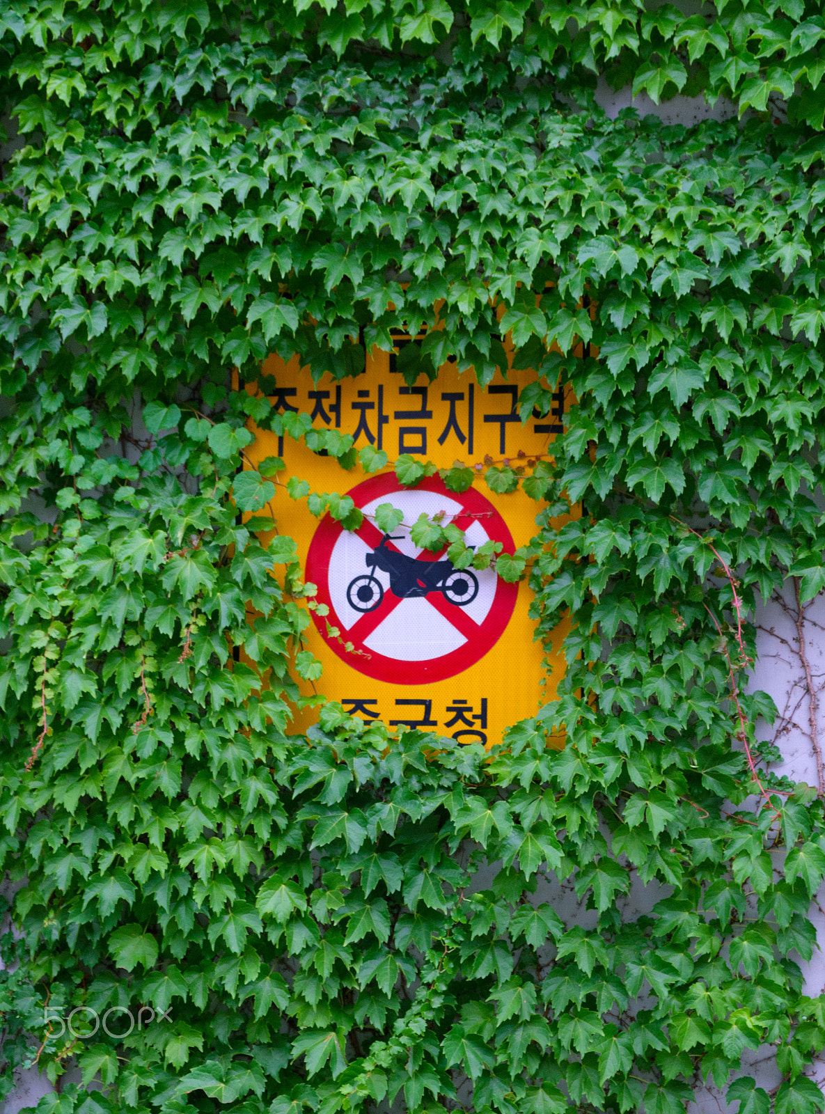 Fujifilm X-A2 + Fujifilm XF 18-55mm F2.8-4 R LM OIS sample photo. Covered sign photography