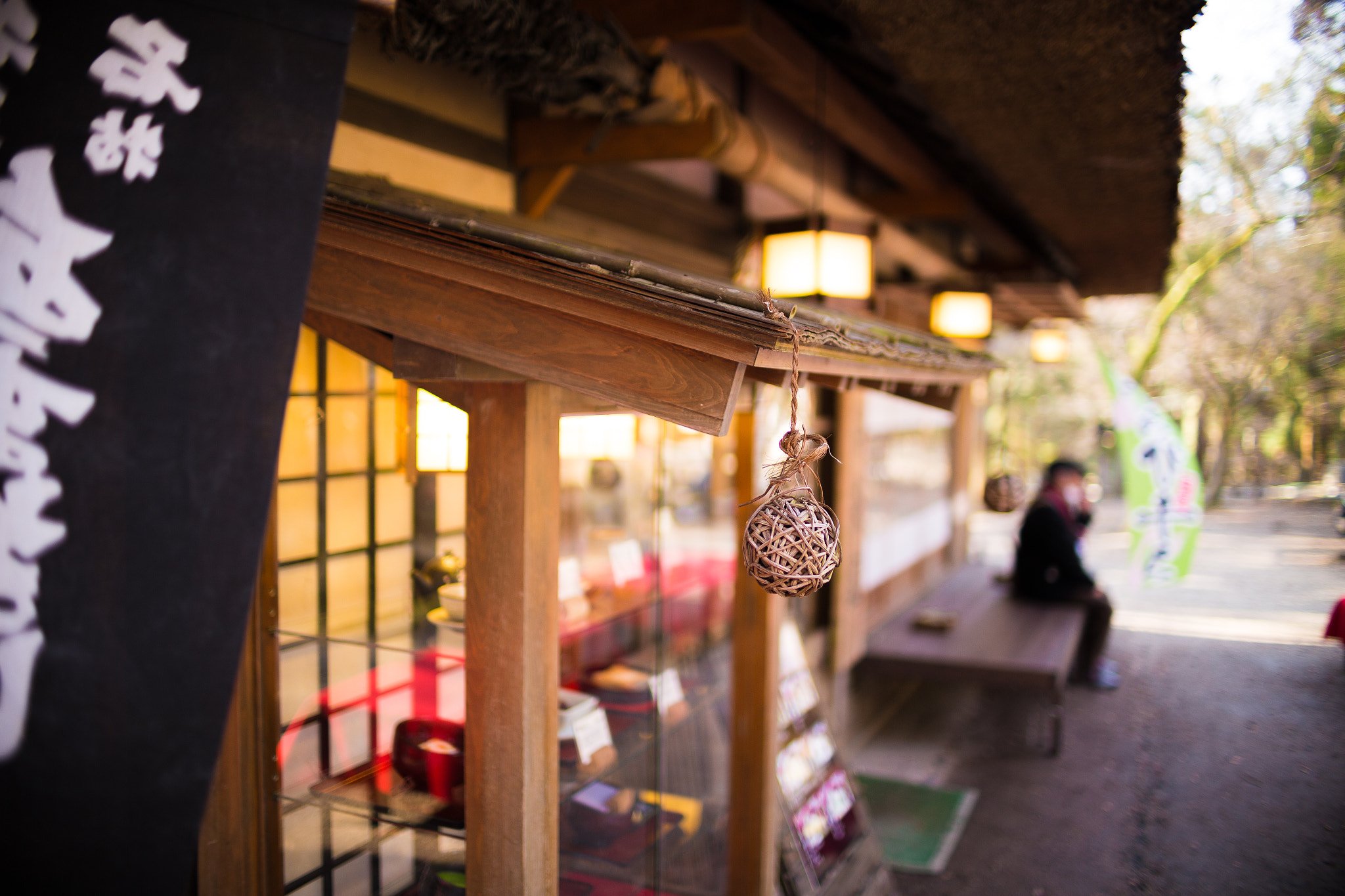 Sigma 30mm F1.4 EX DC HSM sample photo. Nara photography