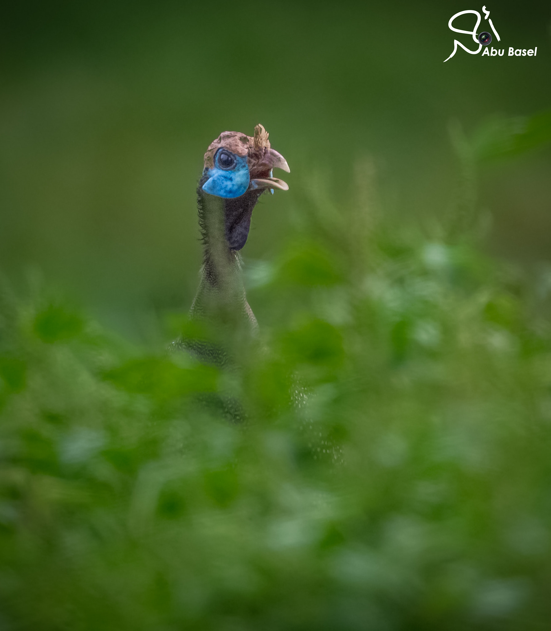 Sigma 150-600mm F5-6.3 DG OS HSM | S sample photo
