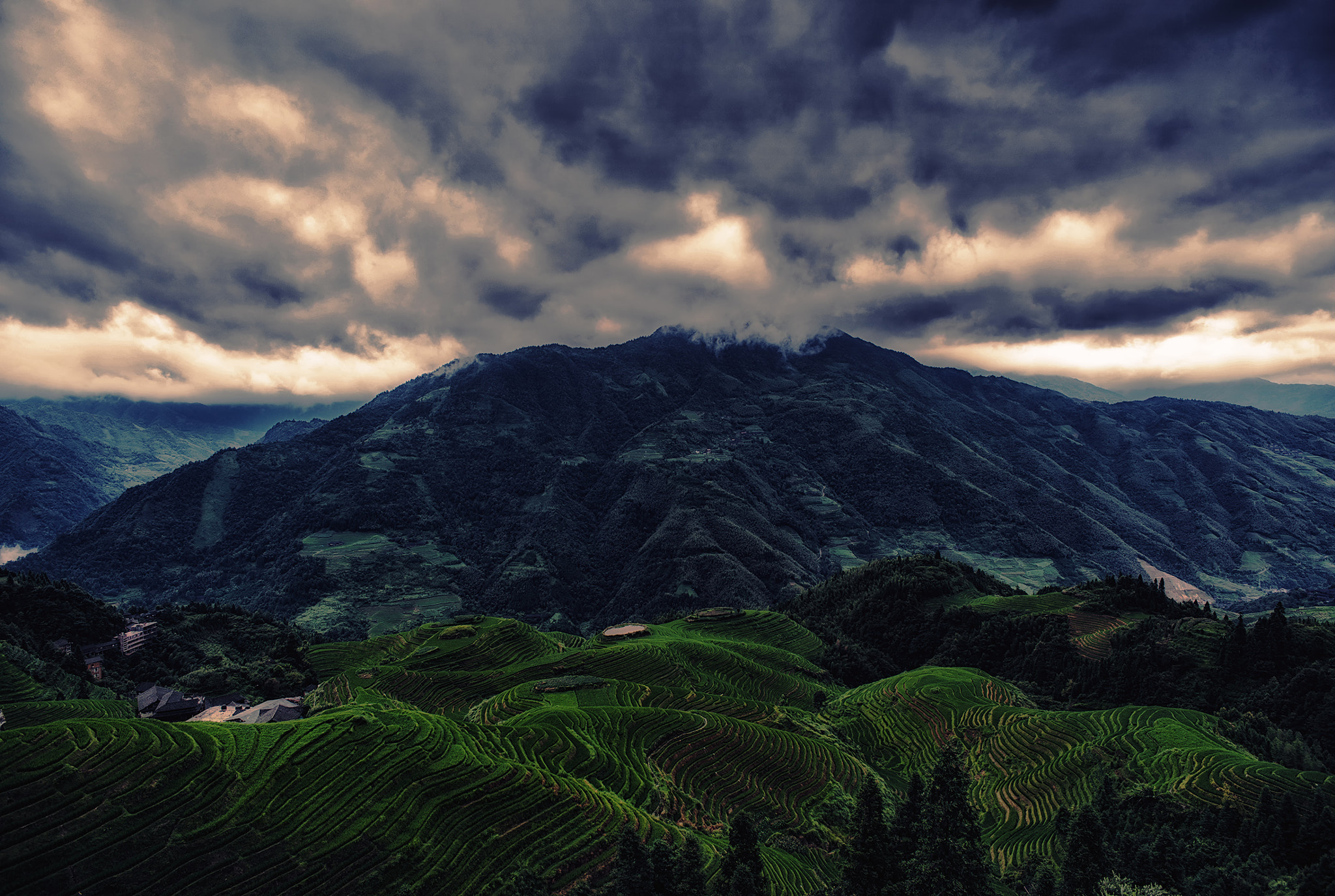 Sony Alpha DSLR-A900 + Sony 20mm F2.8 sample photo. Longji rice terraces photography