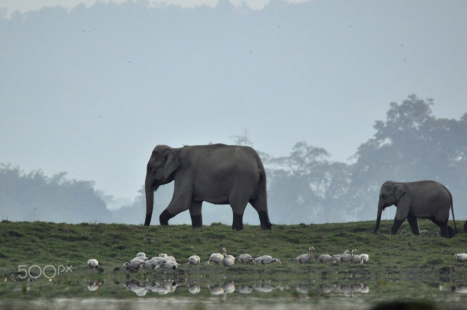 Sigma 150-500mm F5-6.3 DG OS HSM sample photo. On your footsteps . .. photography