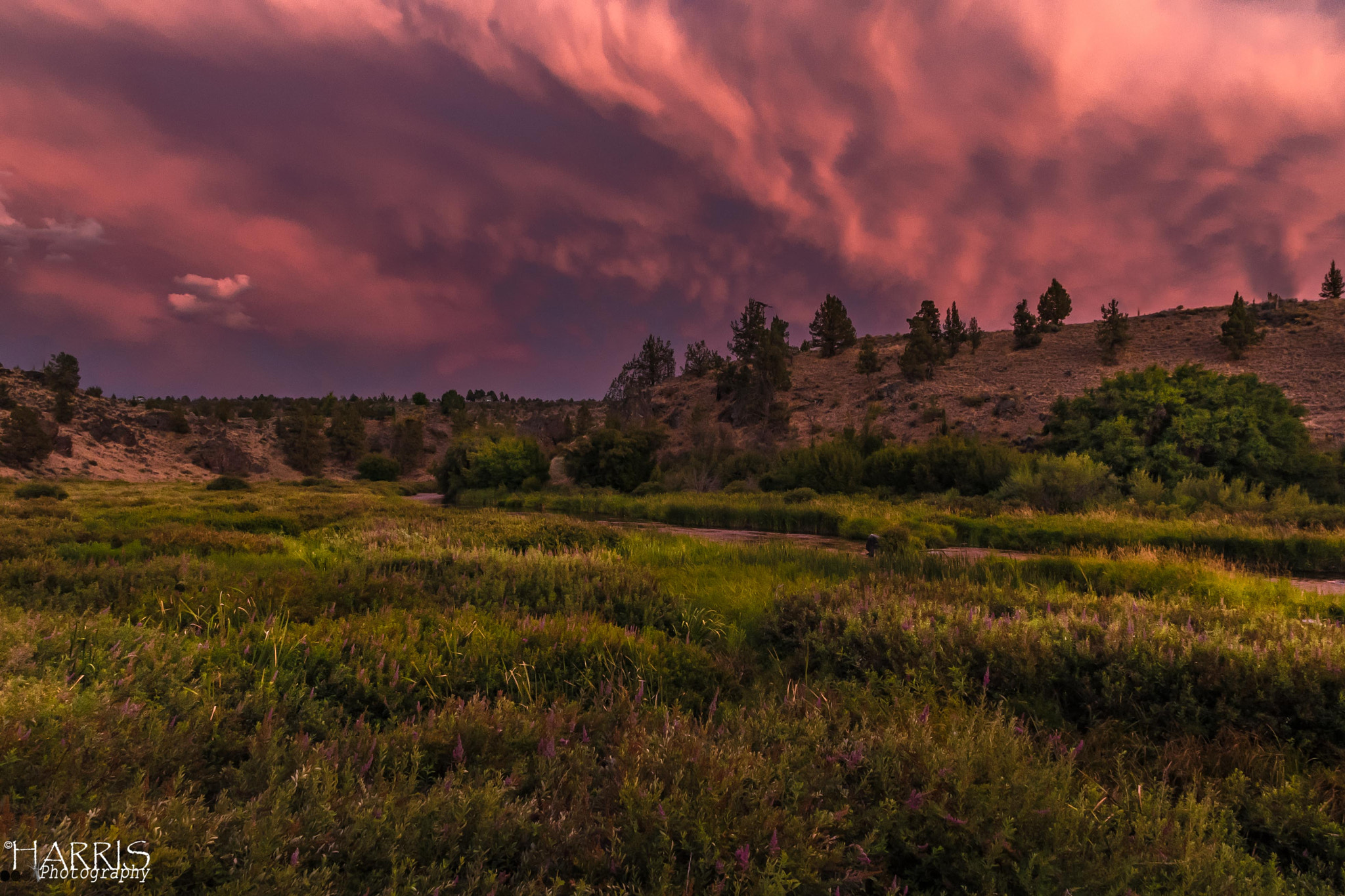 Sigma 17-70mm F2.8-4 DC Macro OS HSM sample photo. Central oregon sunset photography