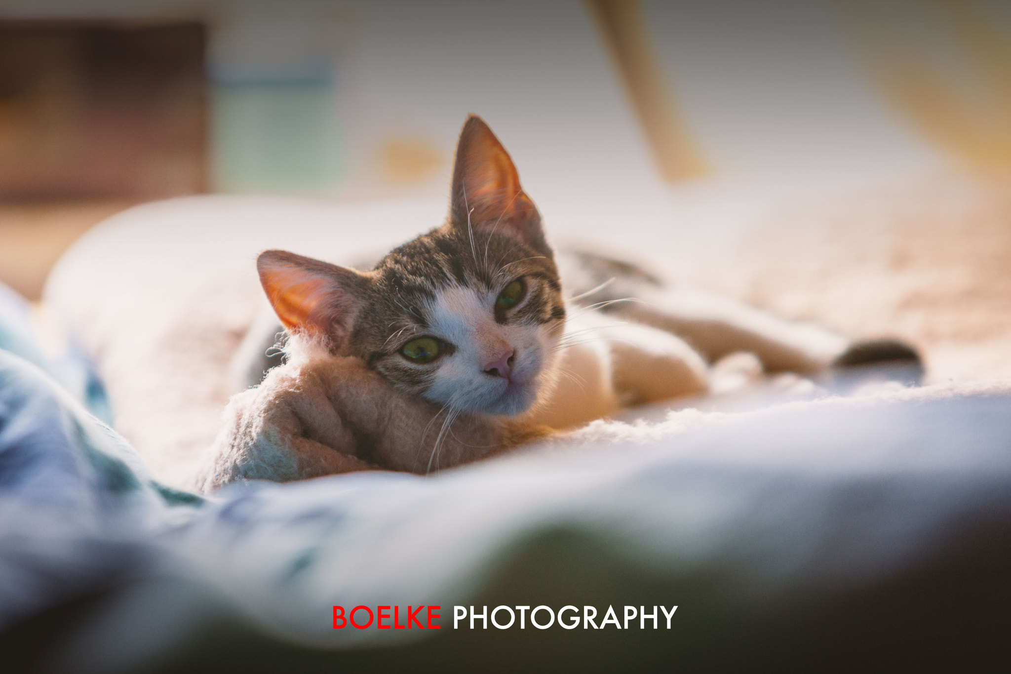 Canon EOS-1Ds Mark III sample photo. Sunday morning......too early photography
