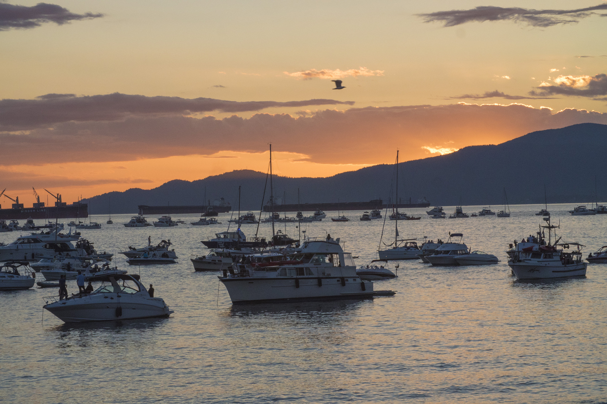 Panasonic Lumix DMC-GH4 + Canon EF 24-105mm F4L IS USM sample photo. Sunset in vancouver photography