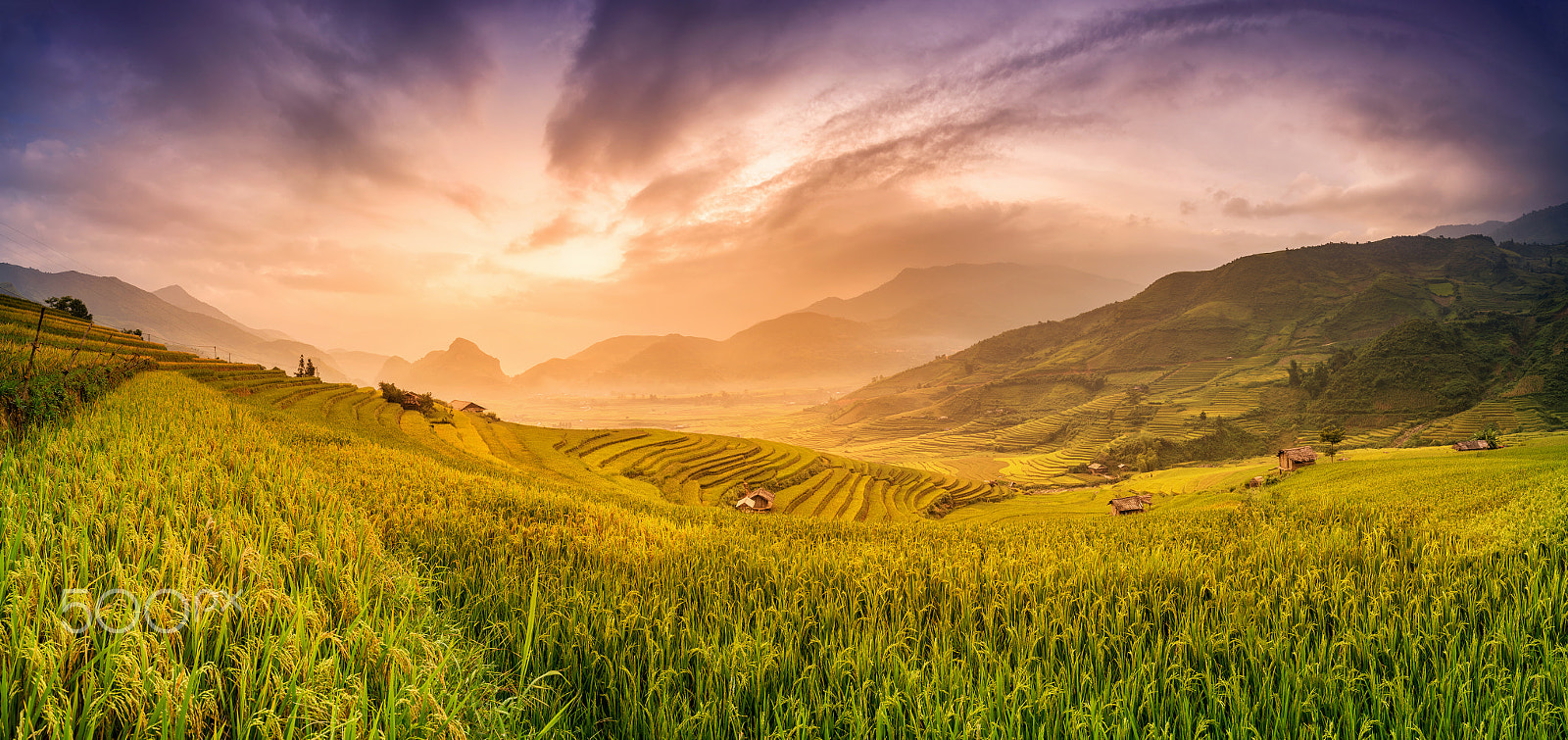 Nikon AF-S Nikkor 17-35mm F2.8D ED-IF sample photo. Rice fields on terraced in sunset at mu chang chai, yen bai, vie photography