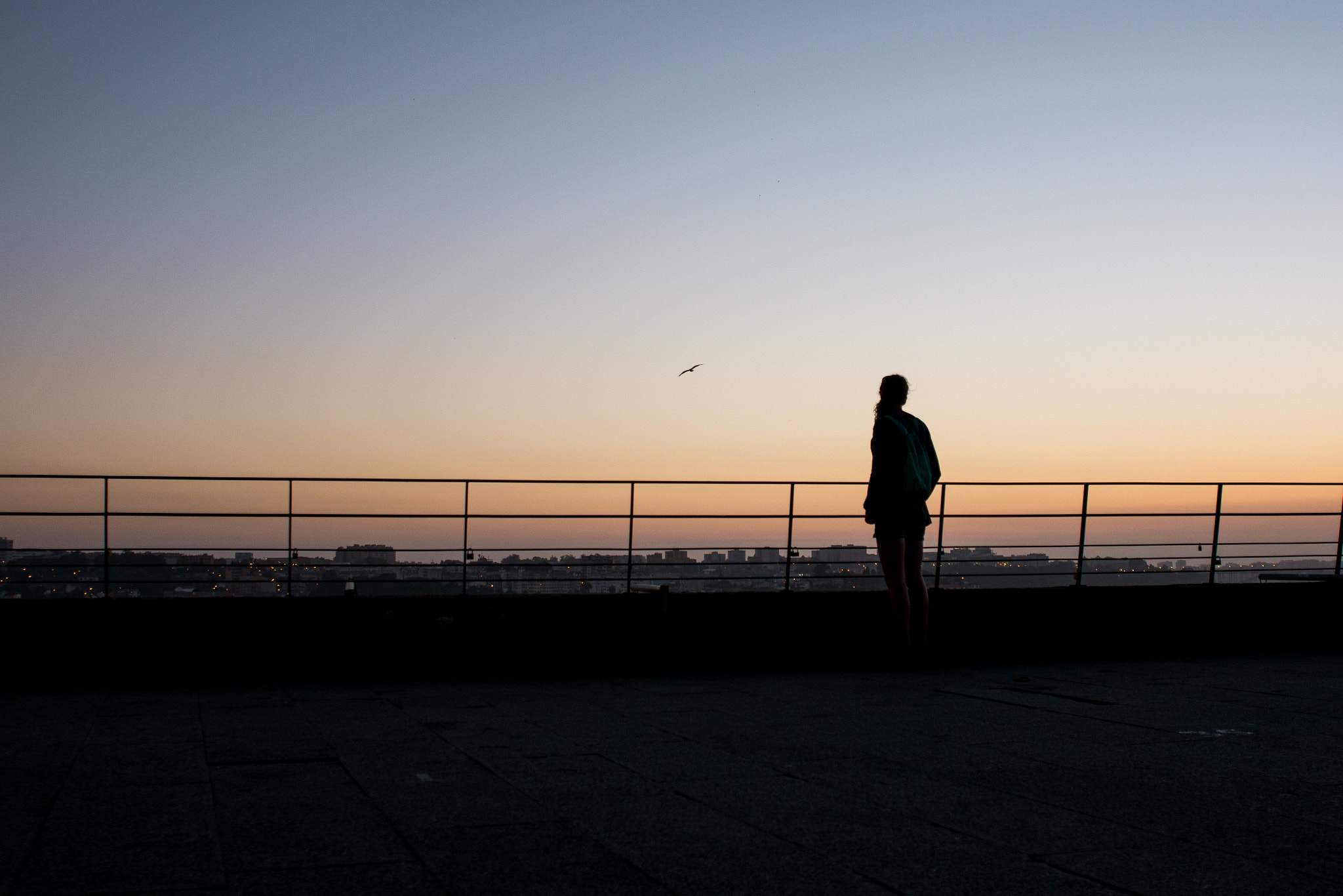 Panasonic Lumix DMC-G5 + Sigma 19mm F2.8 EX DN sample photo. Into the sunset photography