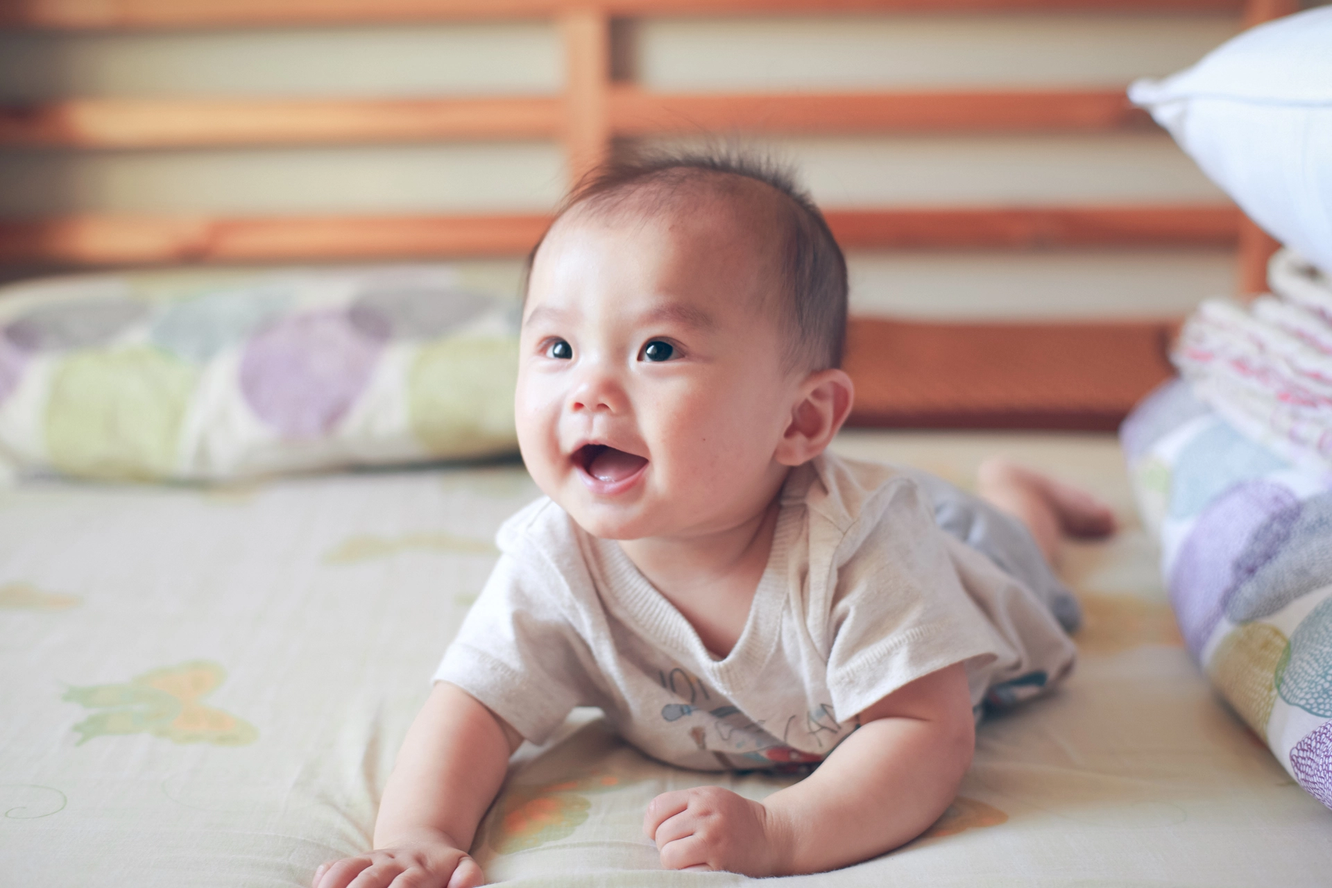 ZEISS Planar T* 50mm F1.4 sample photo. _h3q7331.jpg photography